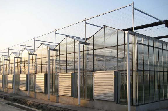 陽(yáng)光板及工程